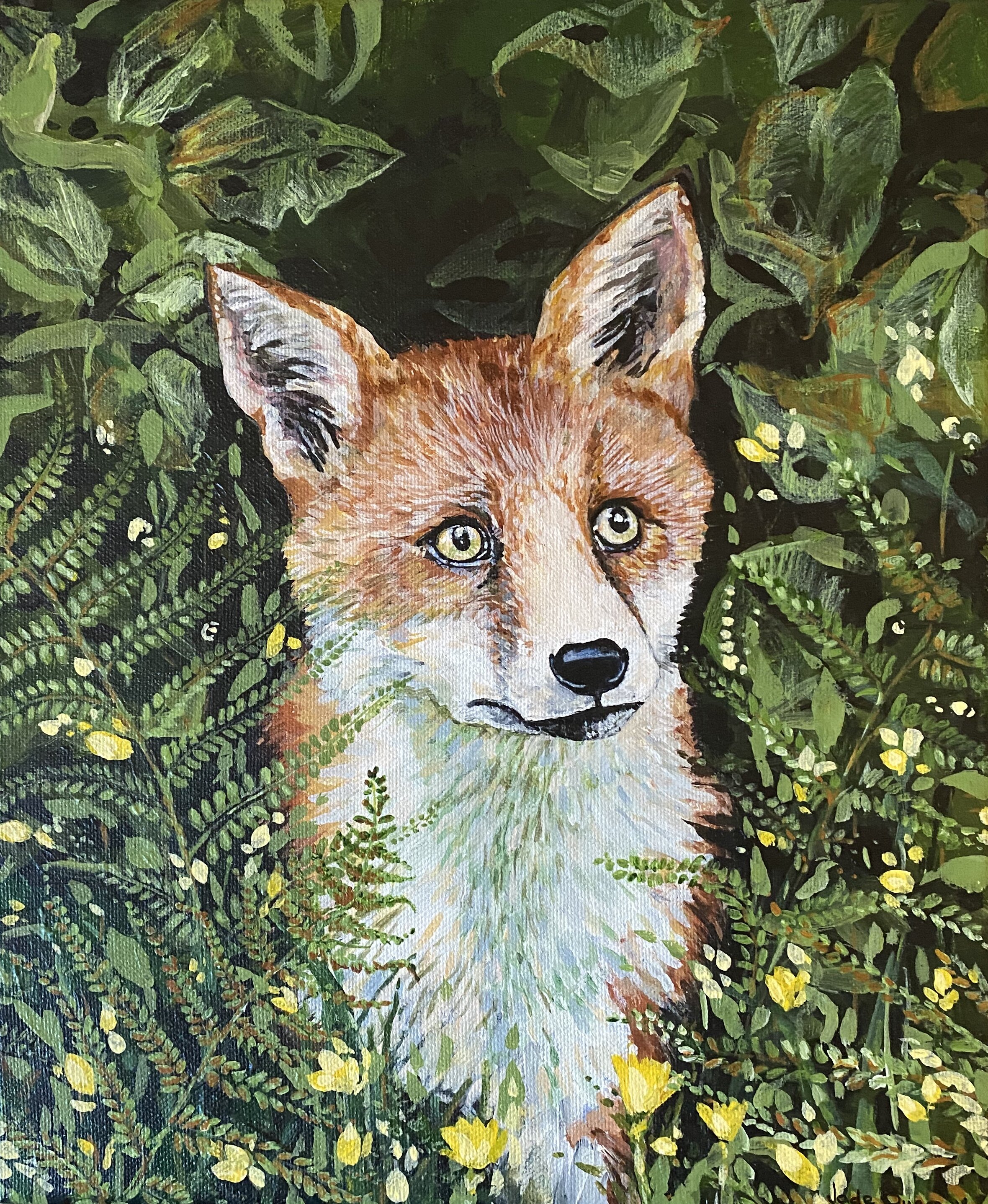 Fox in undergrowth Print