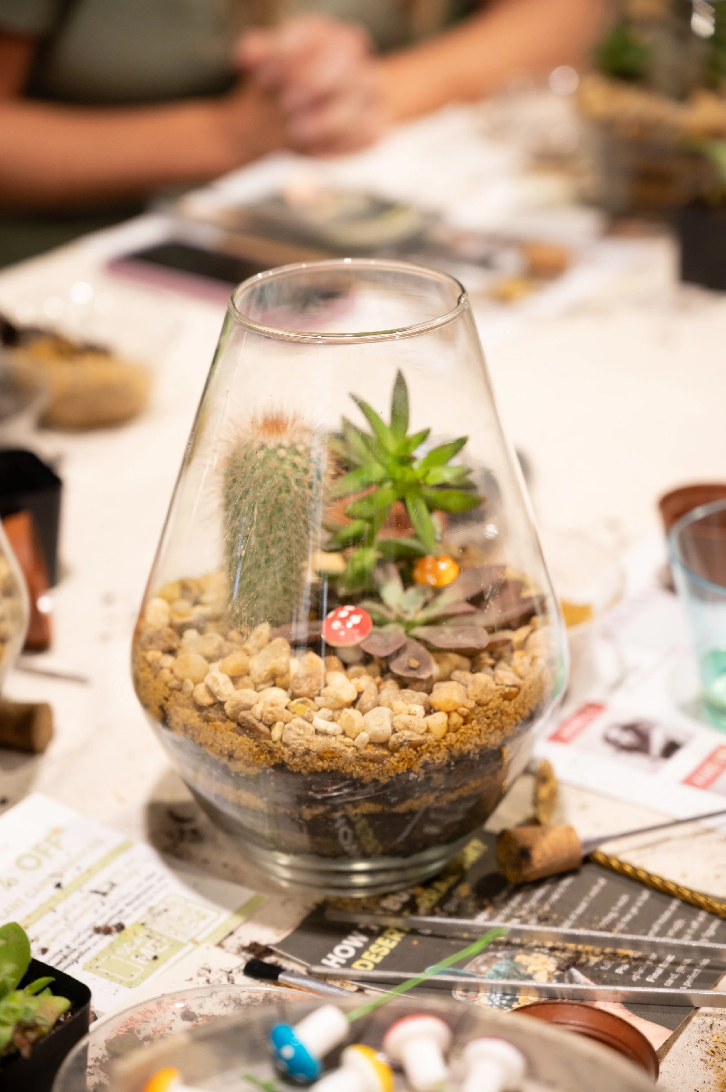 DSC_6814.JPG