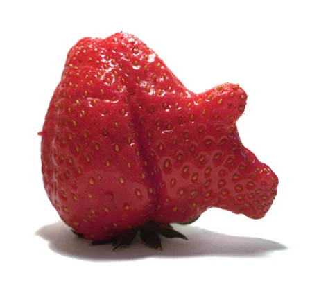 Strawberry-Mutato.jpg