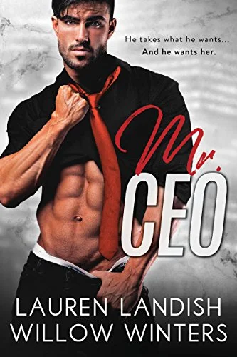 mr-ceo.jpg