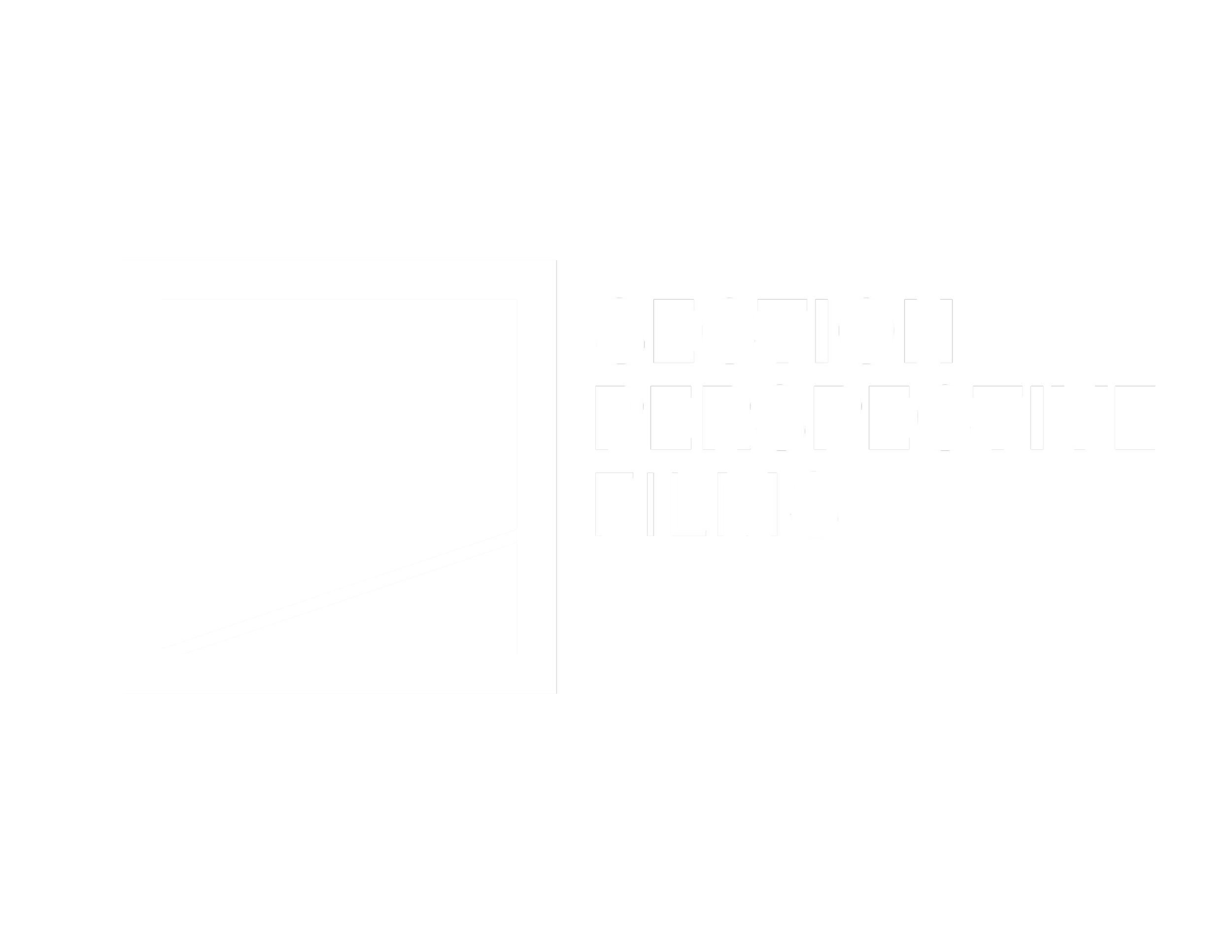 SECTION PERSPECTIVE FILMS