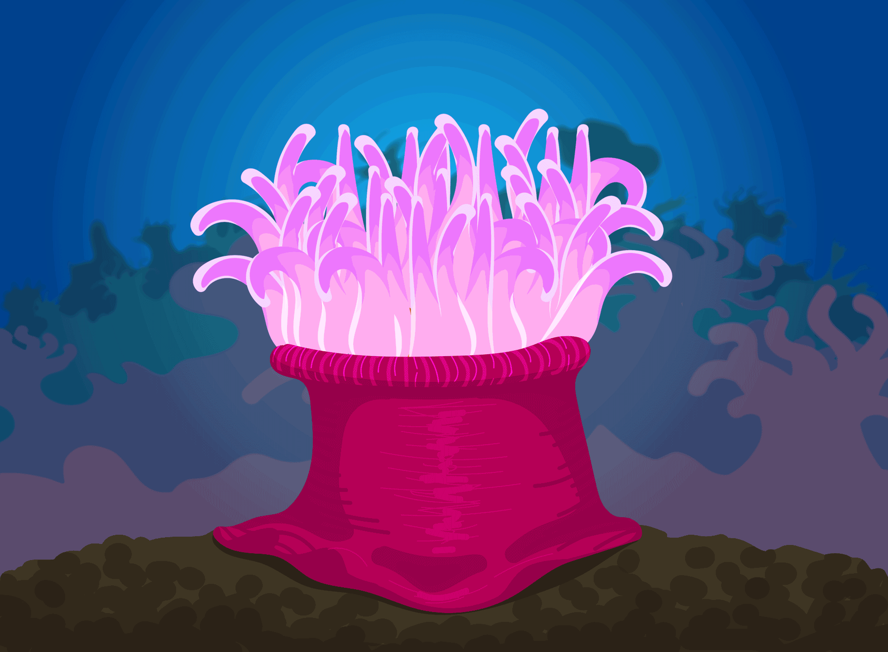 TenMarks_Coral.gif