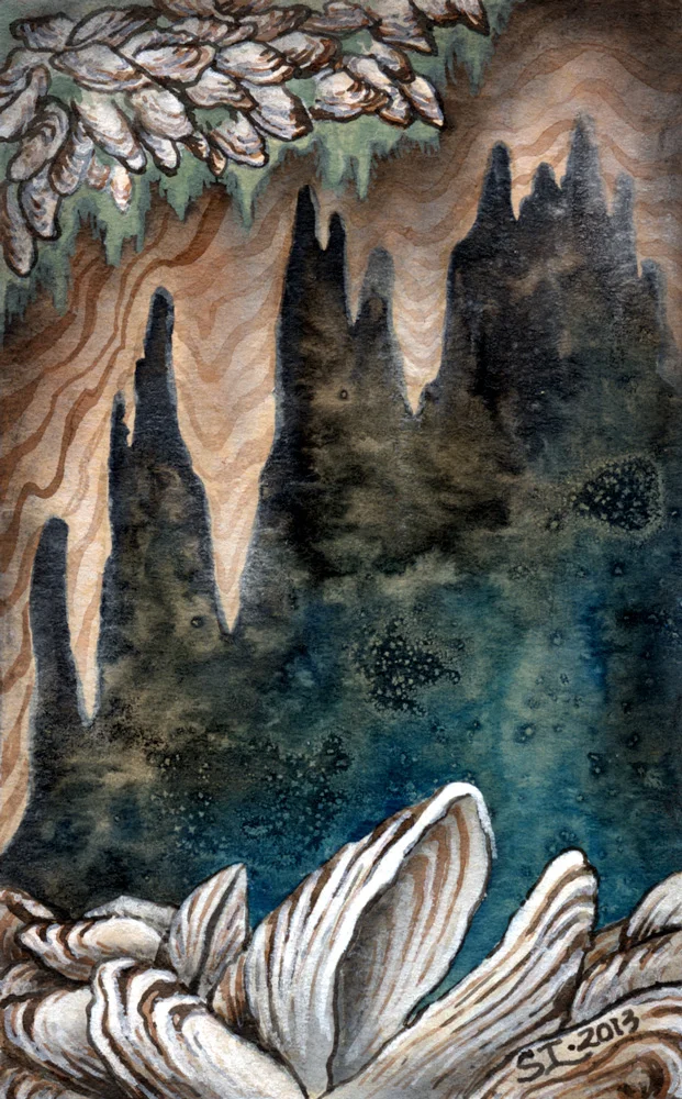 Aquatic Hitchhikers