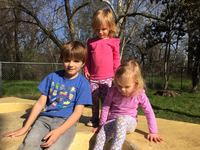 Jan Burnham's Grandchildren: Finnley, Madelyn and Audrey.