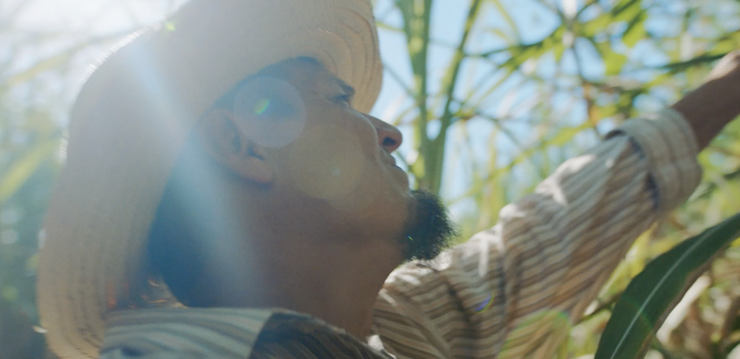 Bacardi_Farmers_1.png