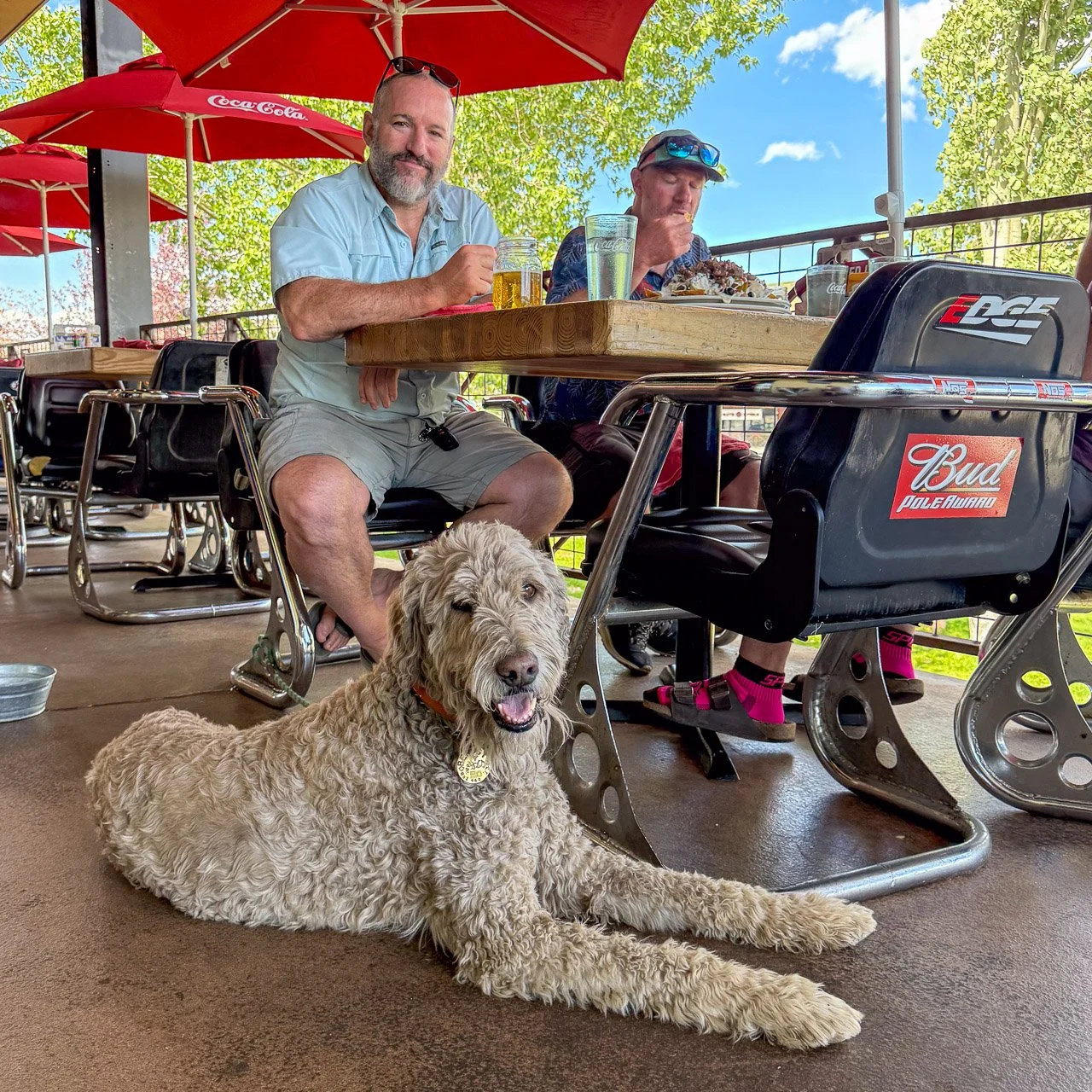 The fall colors and cool temperatures are a perfect reason to dine with your furry friends on our patio. &quot;Who's a good boy?&quot; This guy!