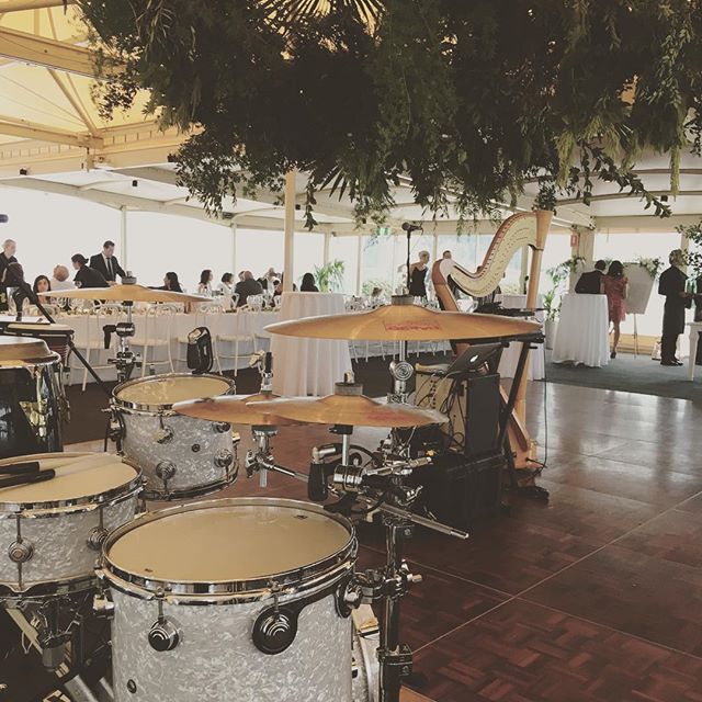 We feel right at home at weddings....not to mention ones that are jungle-like and bring out our inner monkeys! 🐒 .
.
.
#weddinginspo #weddingdecor #follage #plantarrangement #flowers #weddingflowers #drumkit #congas #liveband #harp #weddingband #dru