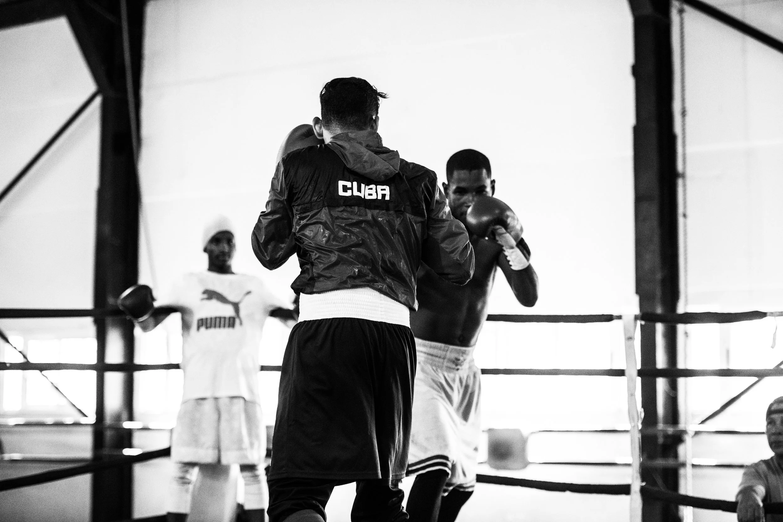 16AW_RT_FT2R_Boxing_06009.jpg