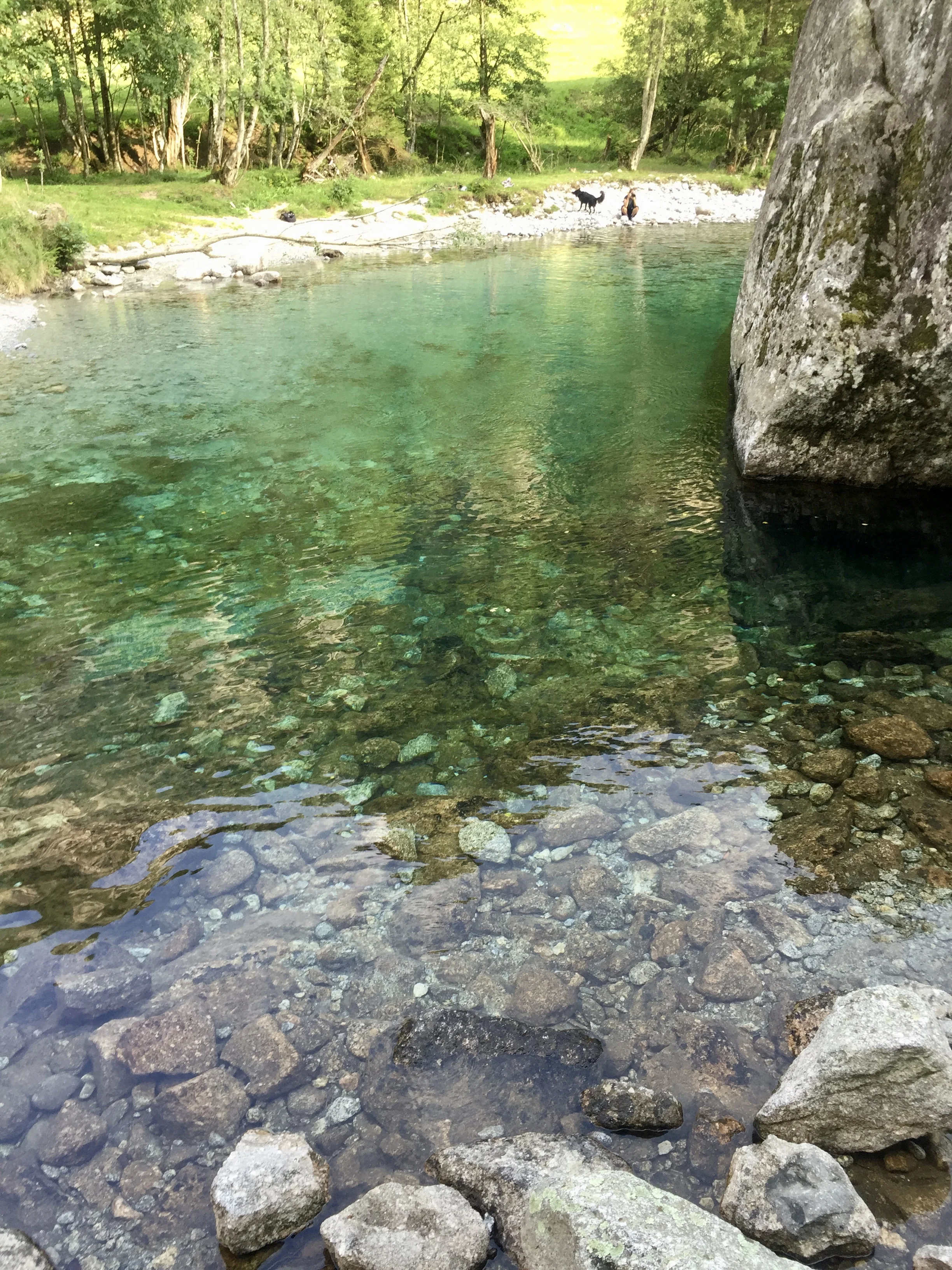Such pure water