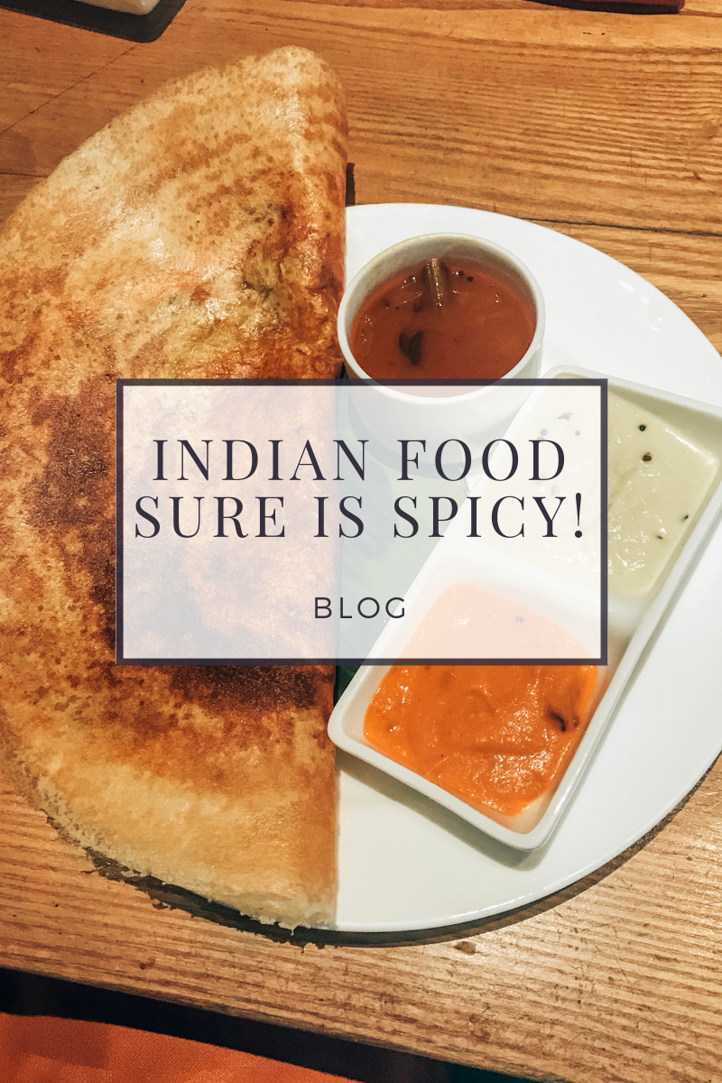 The Food in India is SPICY!!