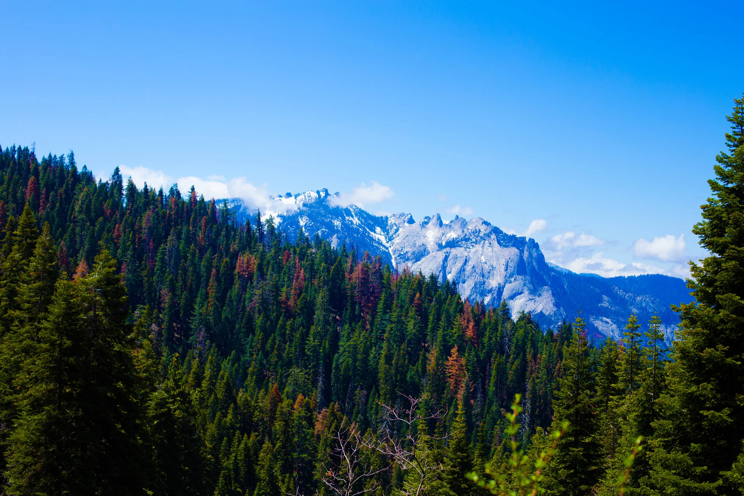 Sequoia & Kings Canyon NP, CA