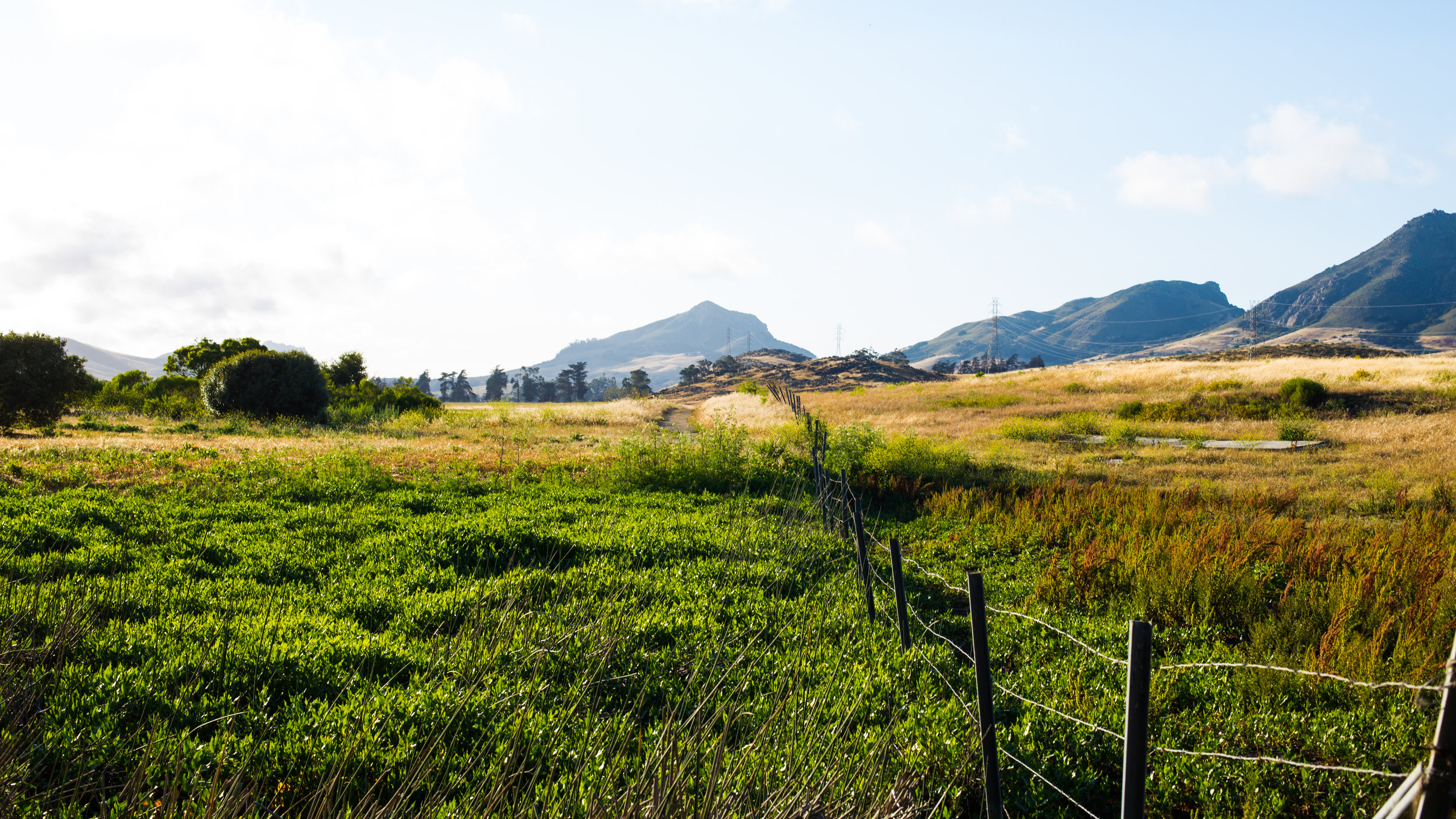  Laguna Lake Park 