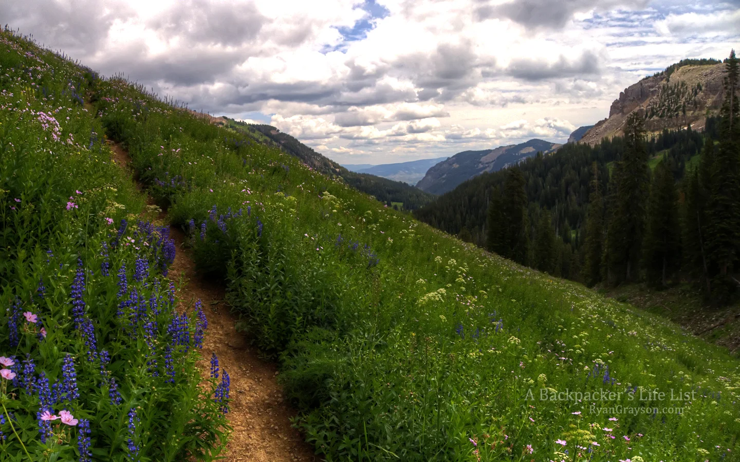 The Teton Crest
