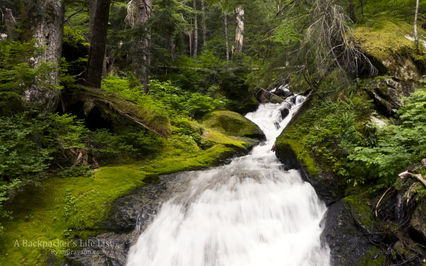 Steam on the Wonderland Trail