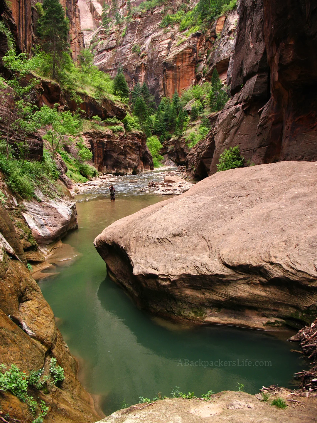 Zion Narrows