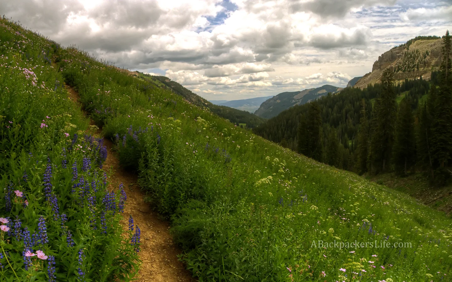 Grand-Tetons_ABackpackersLife(dot)com.jpg