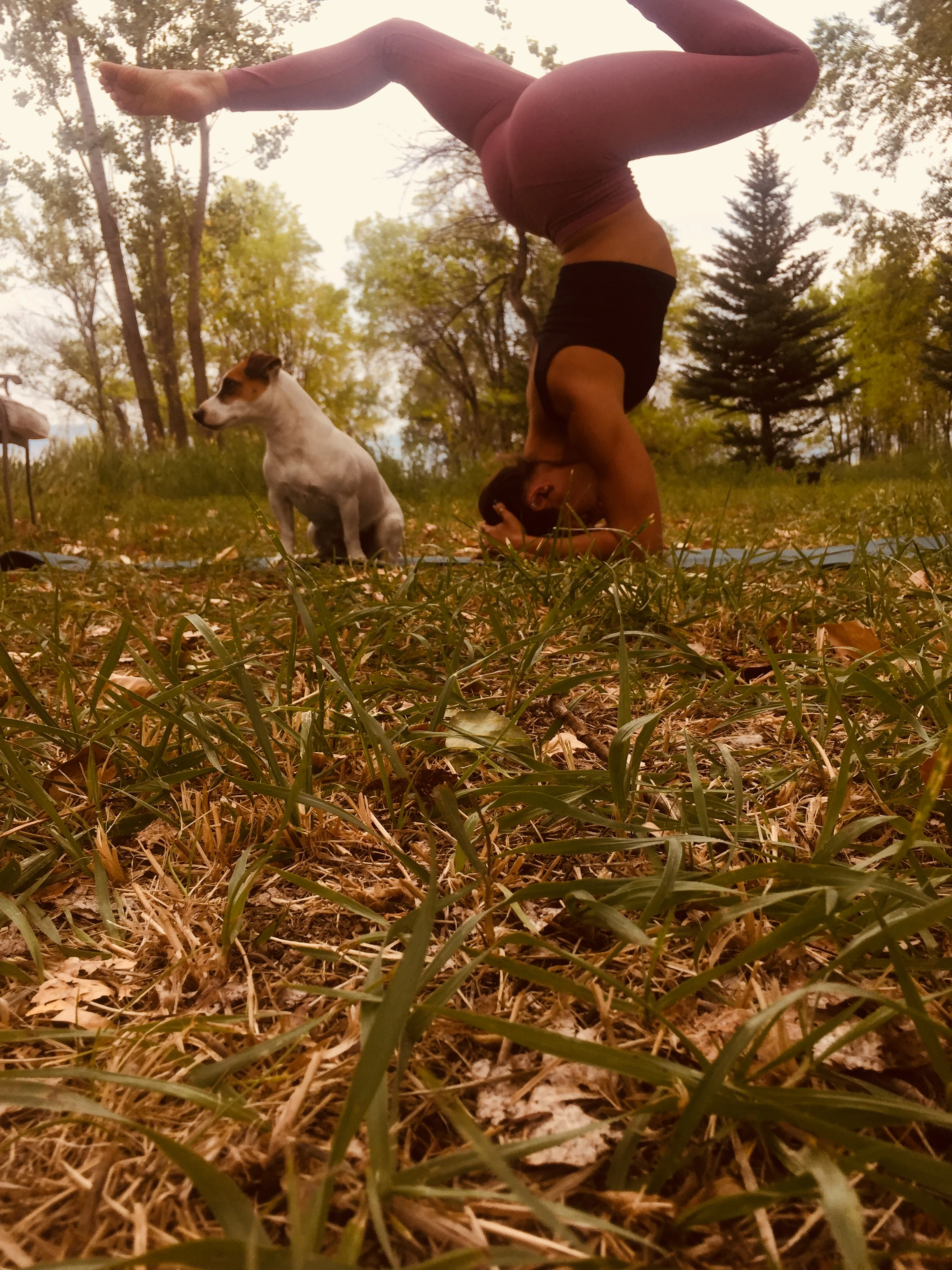 When Yoga makes you Live 