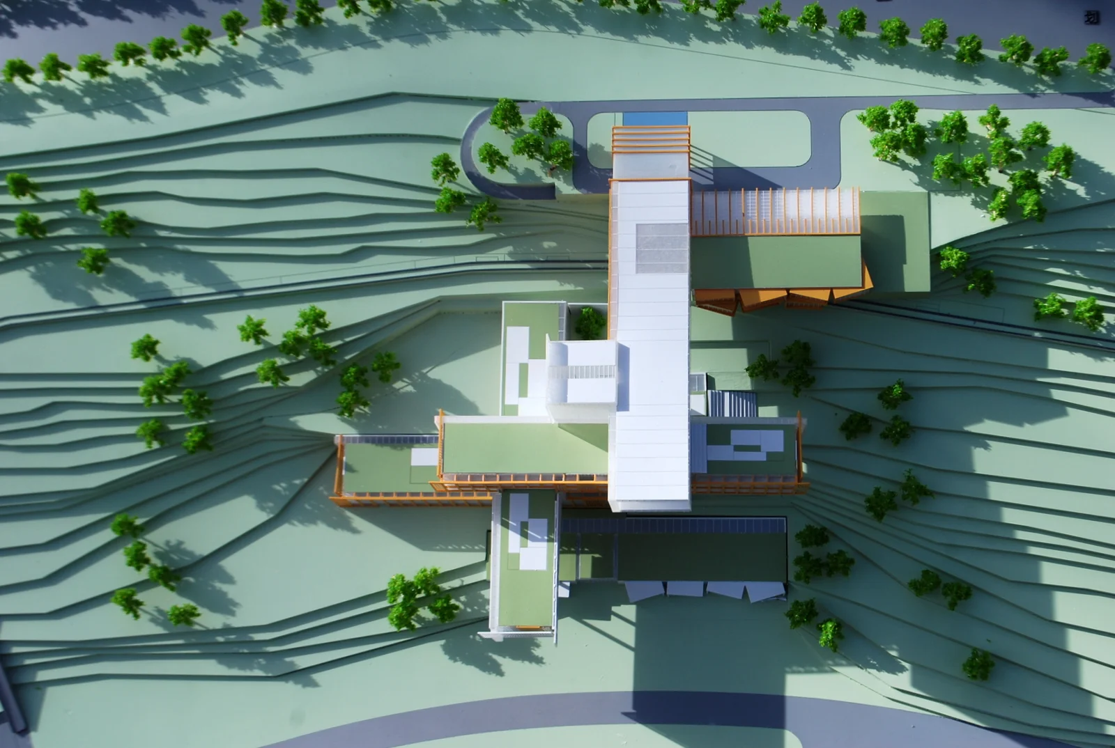 plan view of model- rhinescheme