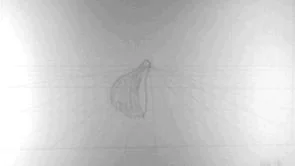 Beanbag Test