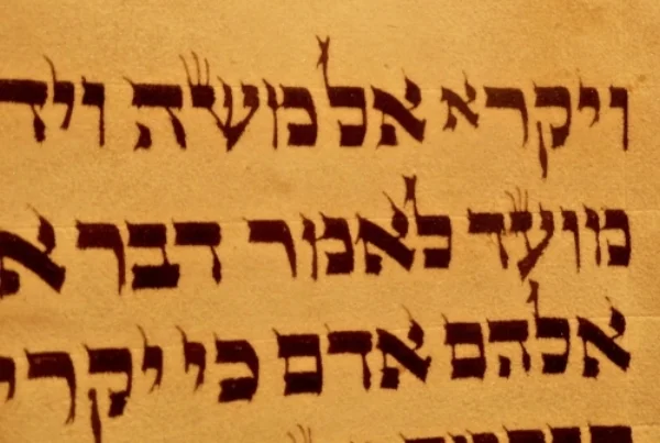 small aleph vayikra.jpg
