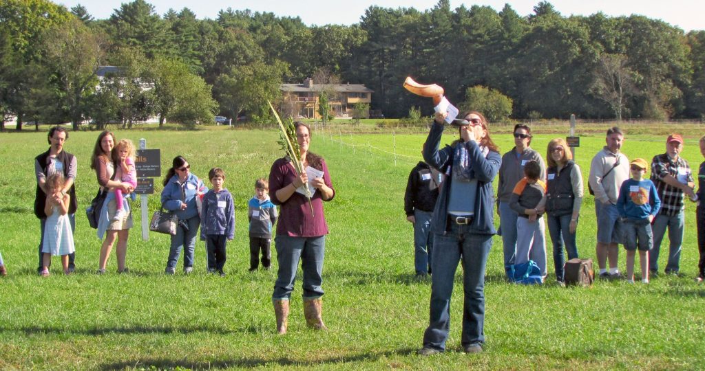 Sukkot on the Farm.jpg