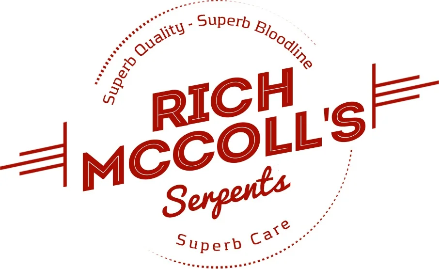 rich mccoll's.jpg