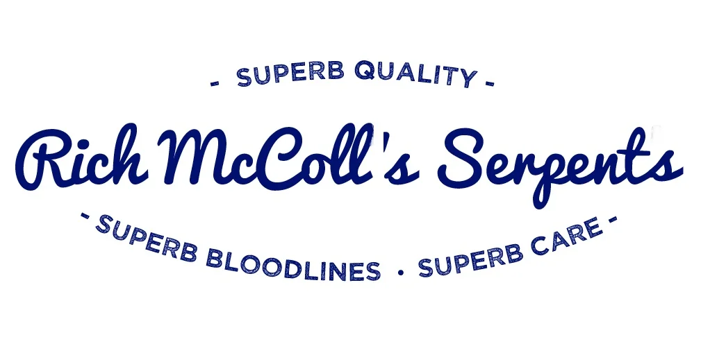 blue rich mccoll.jpg