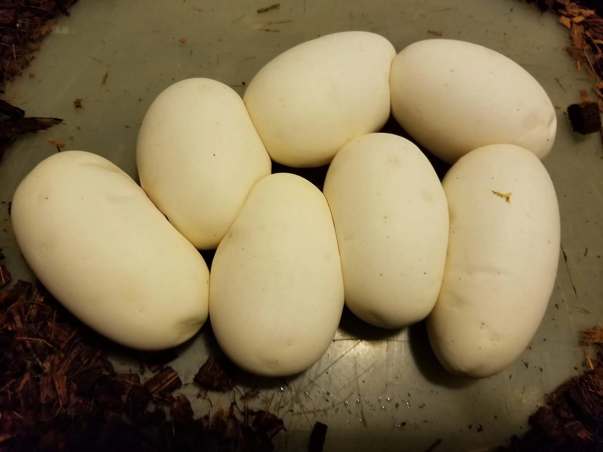 20180617_114537.jpg
