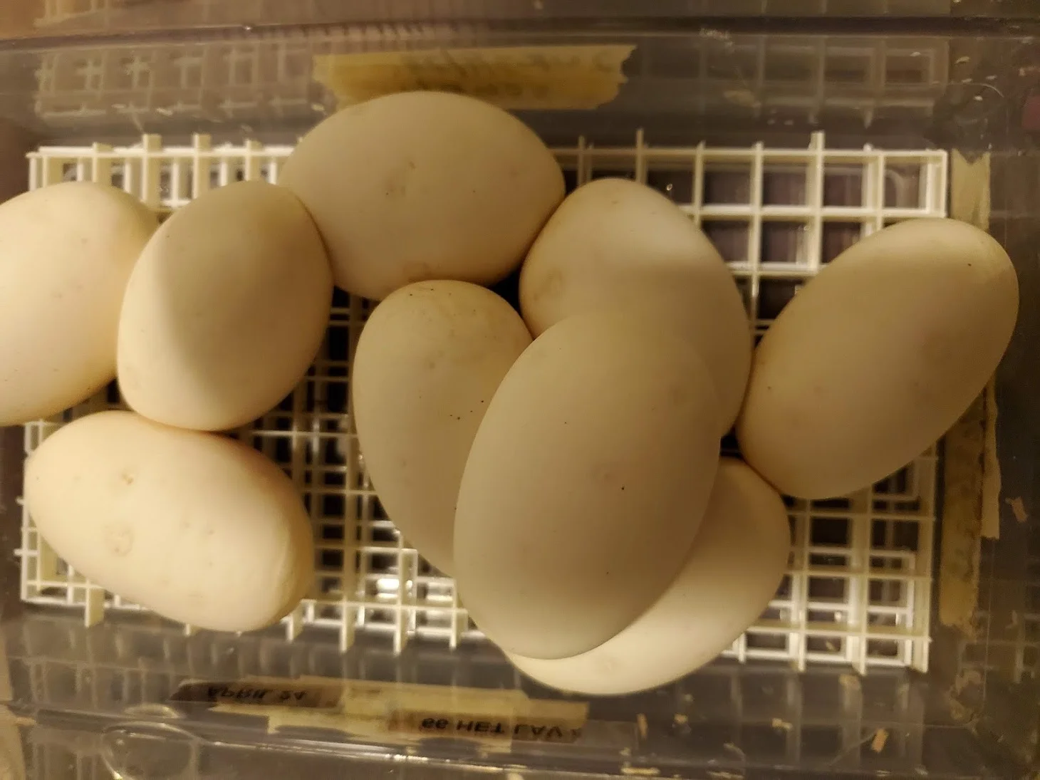 20190619_201341.jpg