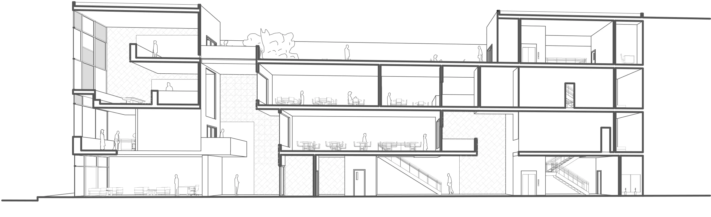 Section Perspective.jpg