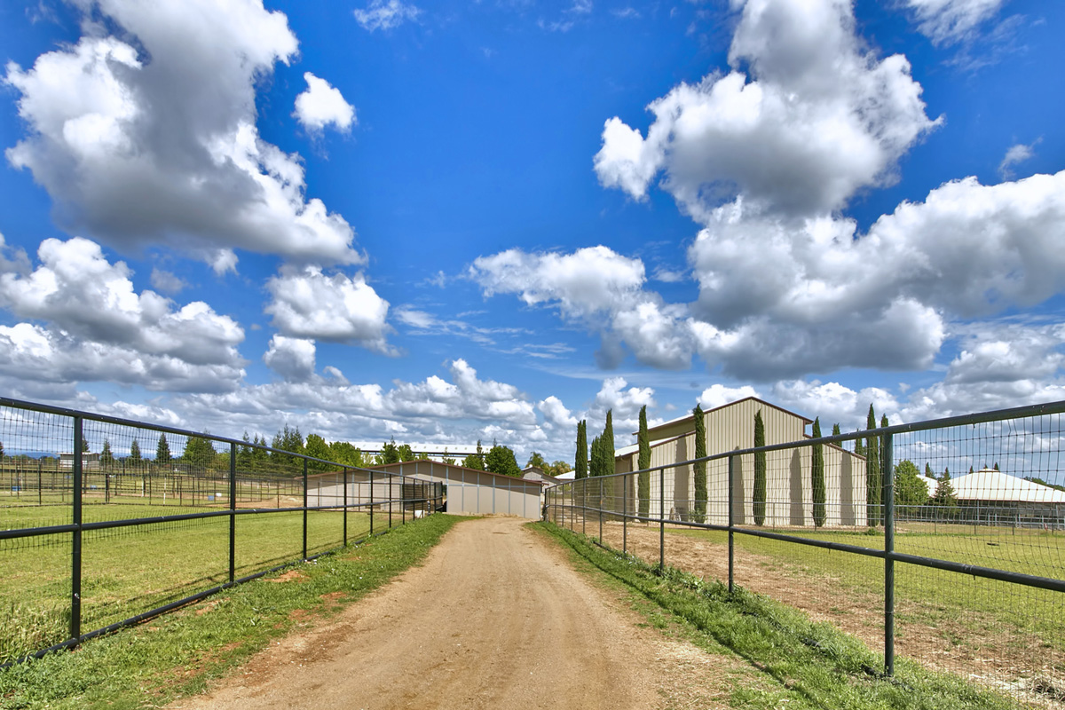 Sve pasture path .jpg