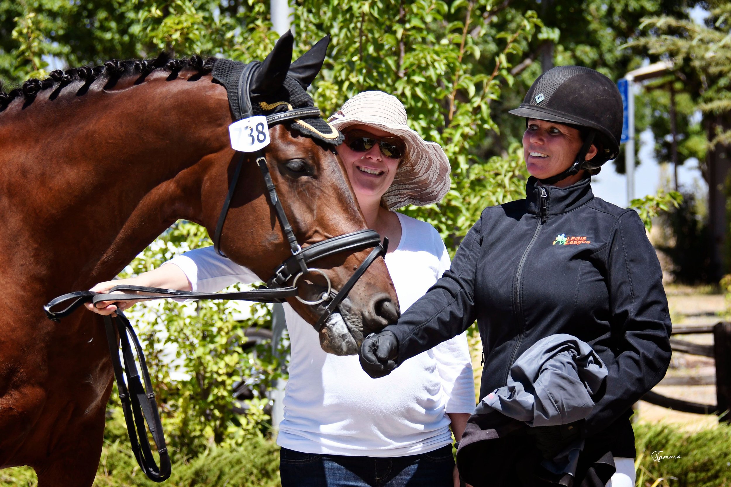 Starr Vaughn Spring Dressage II