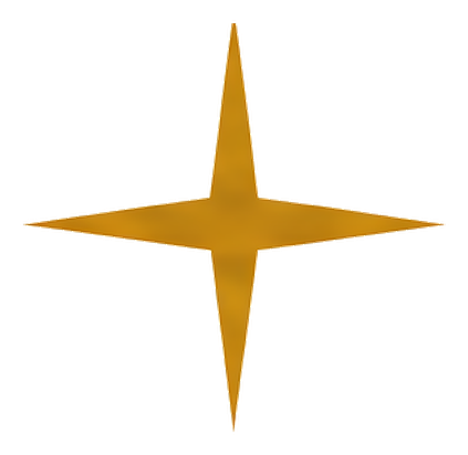 Rachel Russell Consulting north star icon — strategic advisory and fractional executive services for healthcare and PE-backed organizations.