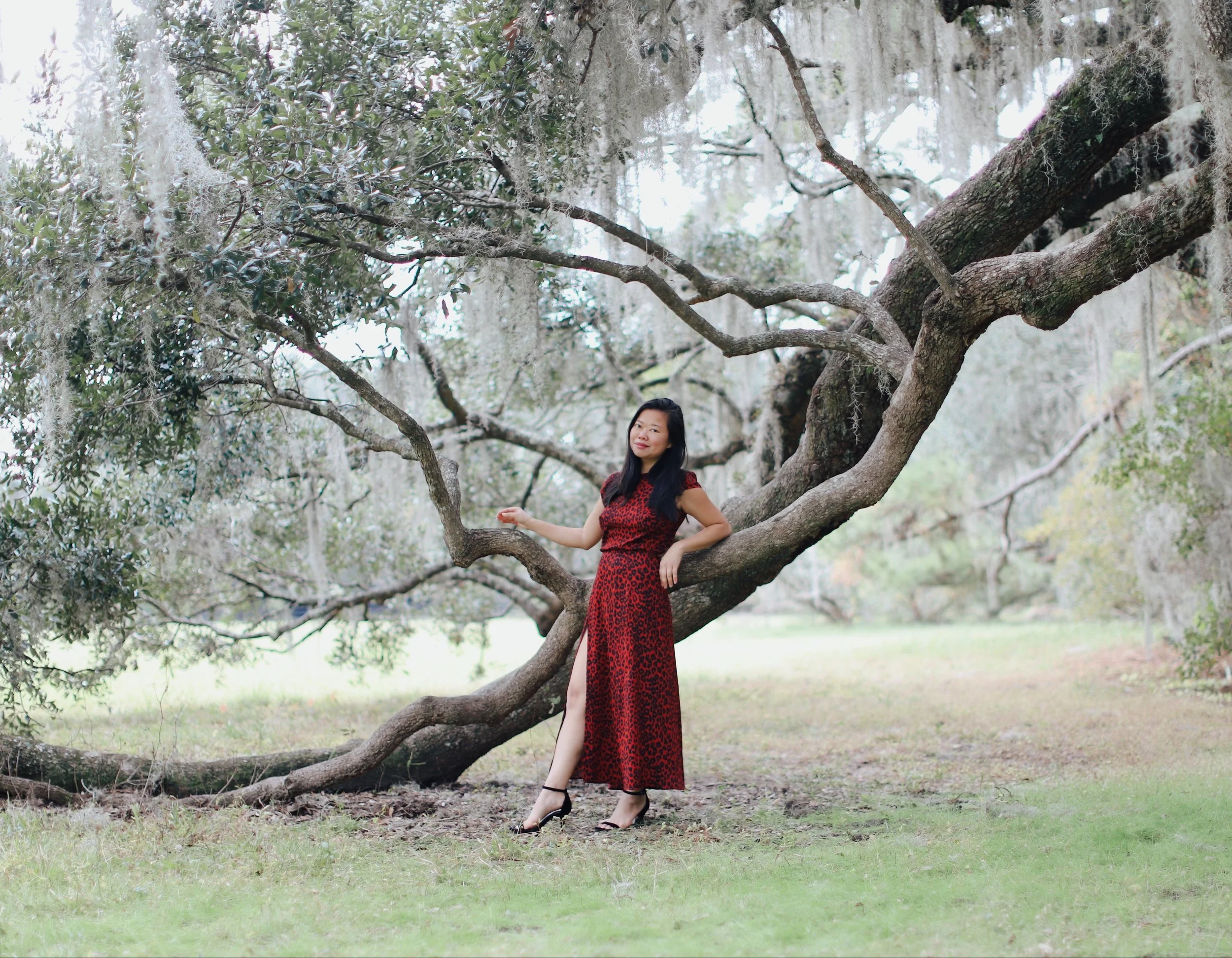 Holiday Dressing in Red Leopard