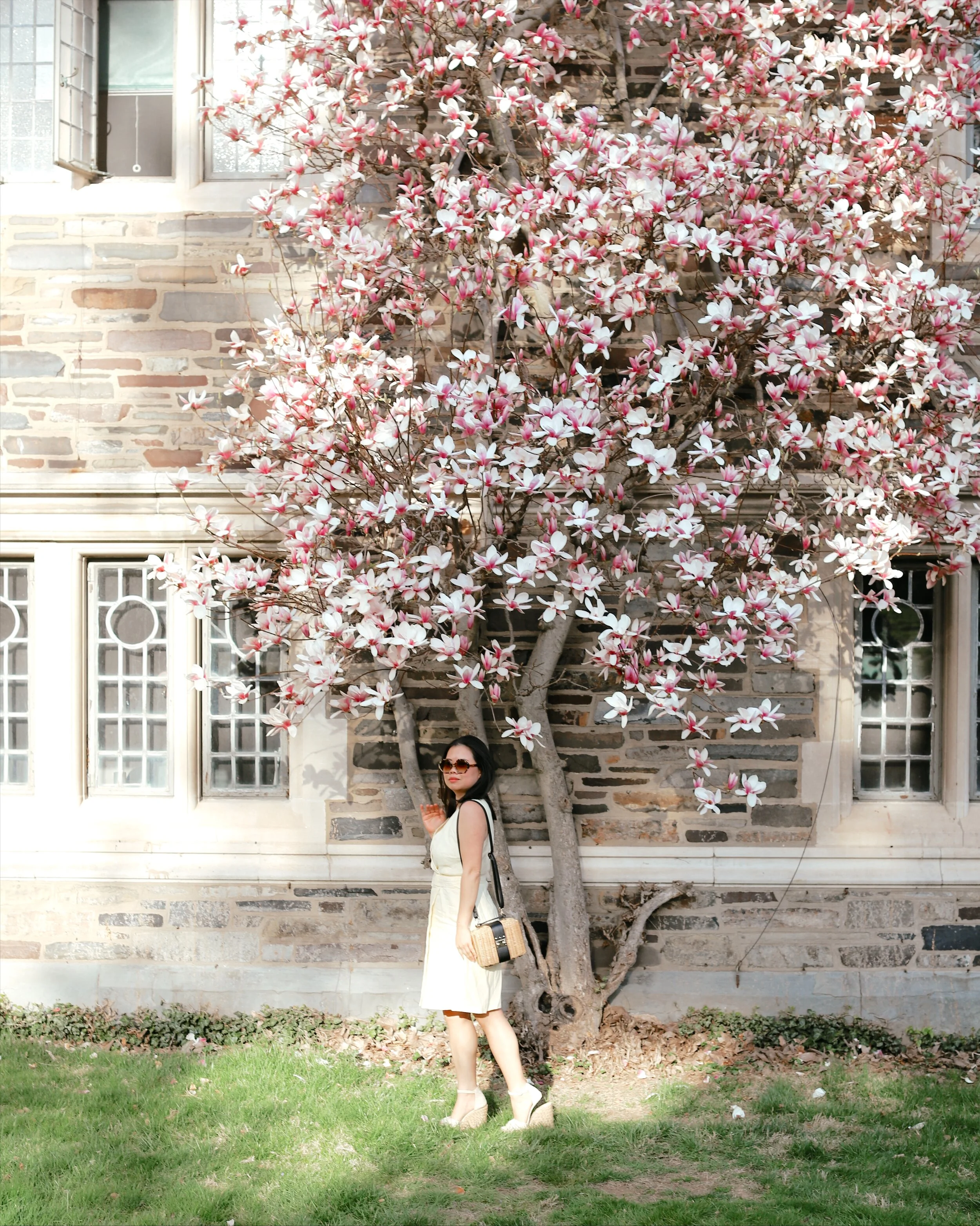 Most Instagrammable Spots Around Princeton University