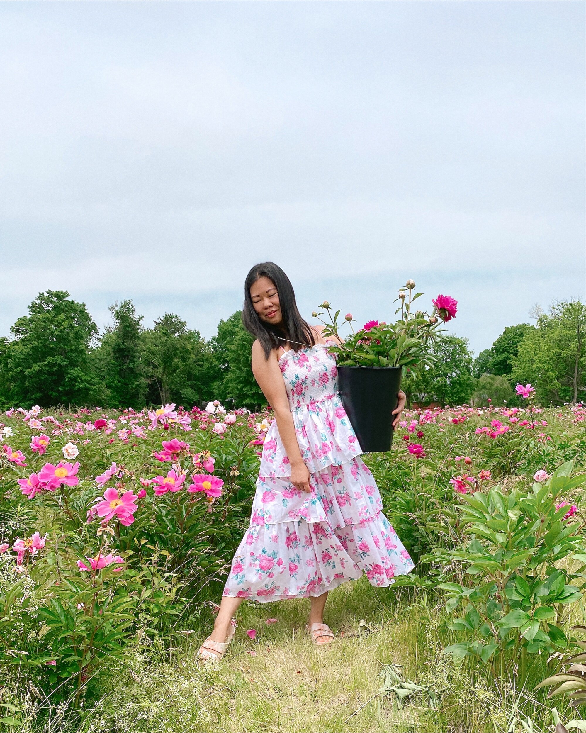 Pandemic Hobbies: Garden Collecting — Not A Rose Girl by Jamie Ng Rose