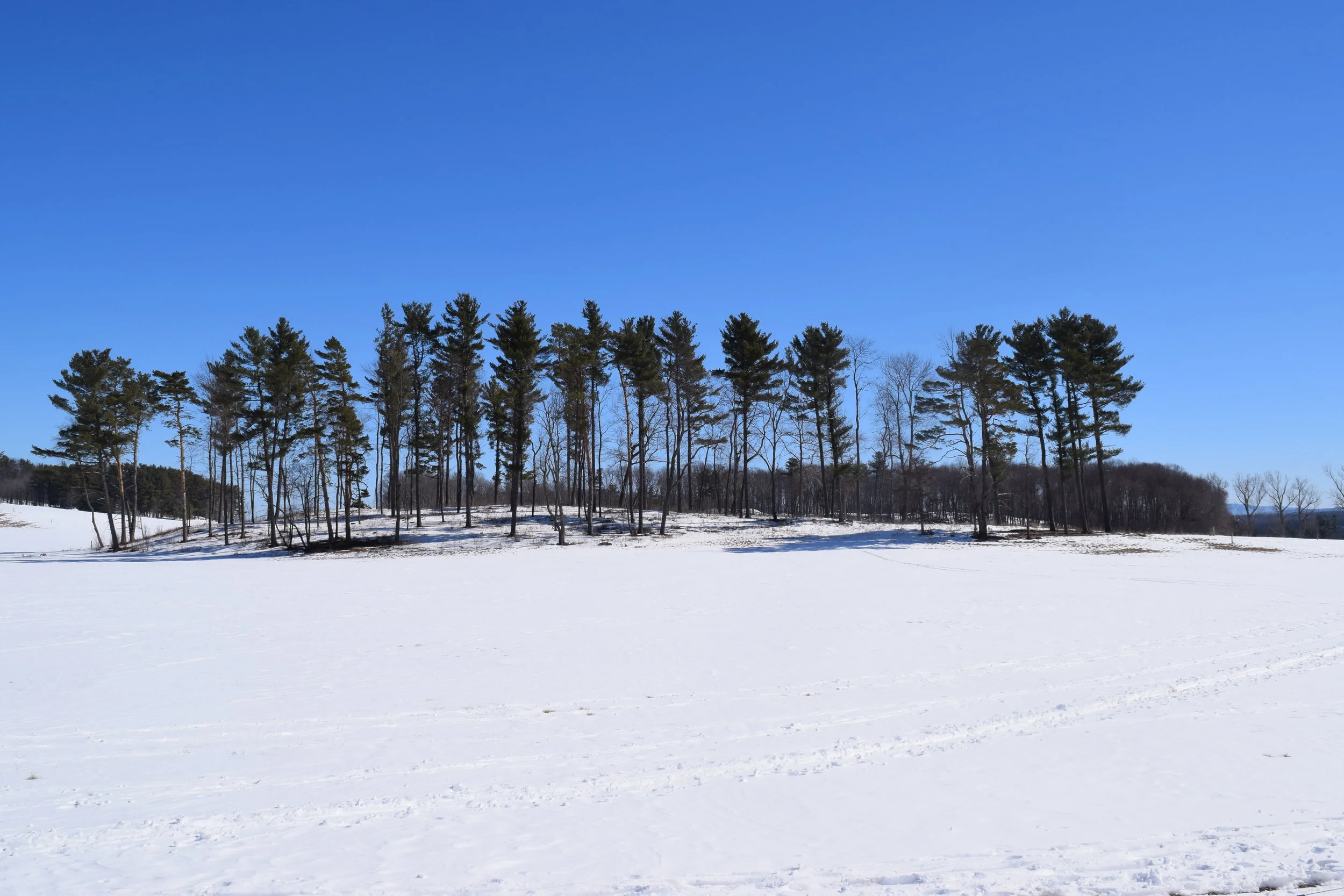 The Importance of Opting Out 