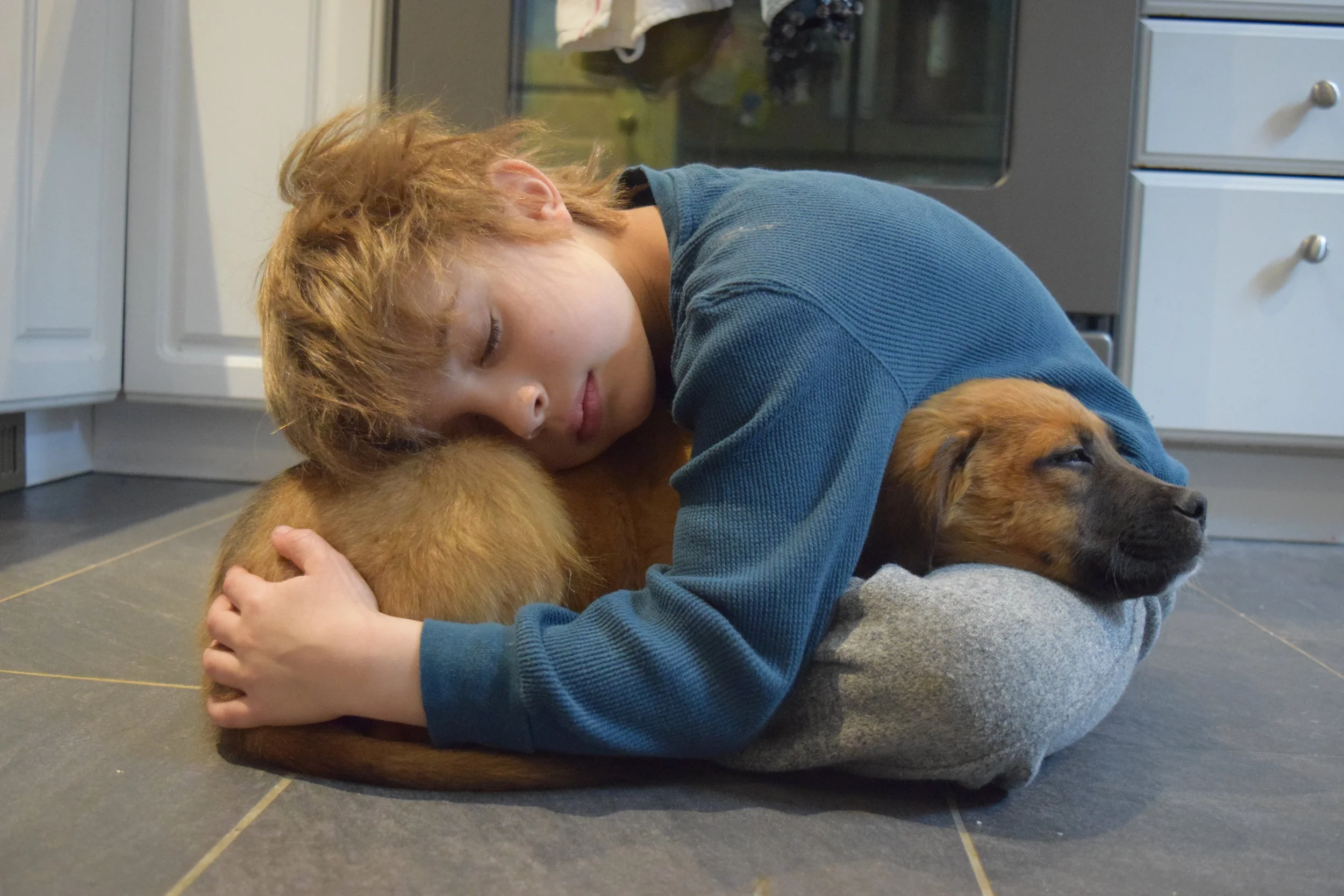 Let Love Rule: An Action Plan