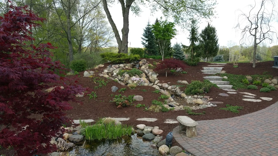 20170506_192411.jpg