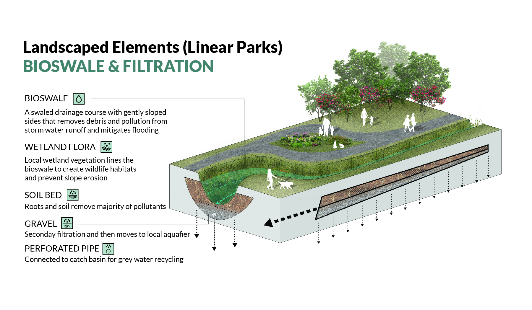 Water Typologies -01.jpg