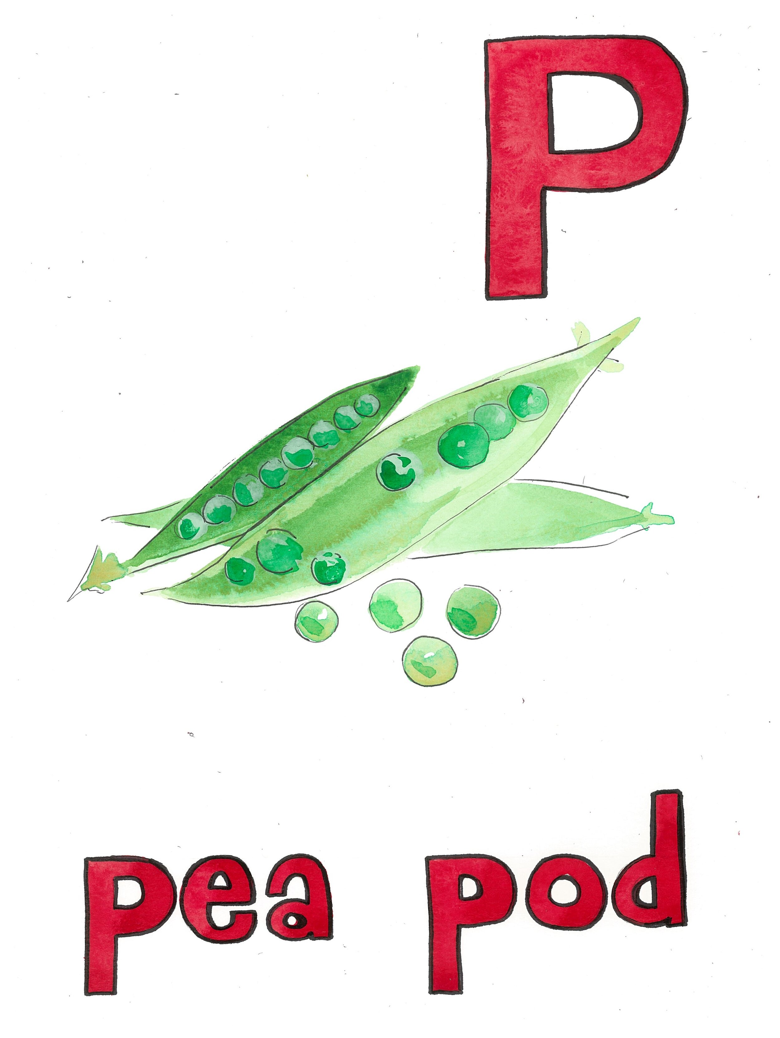P.JPG