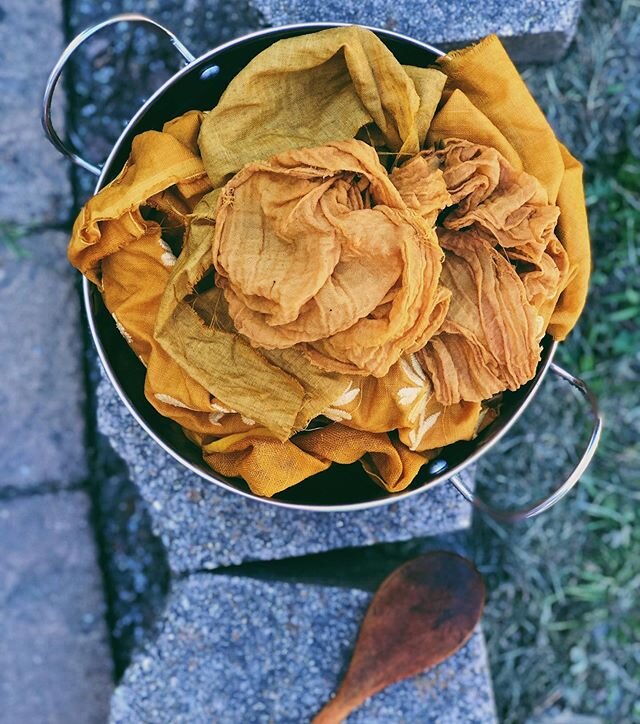 🌼 this afternoons dose of marigold yellow reminds me of pure sunshine 🌞 I shared a mini tutorial in my stories to follow along. These flowers were from yesterday&rsquo;s post. ✨I found these beauties growing abundantly in bushes last year, and thei