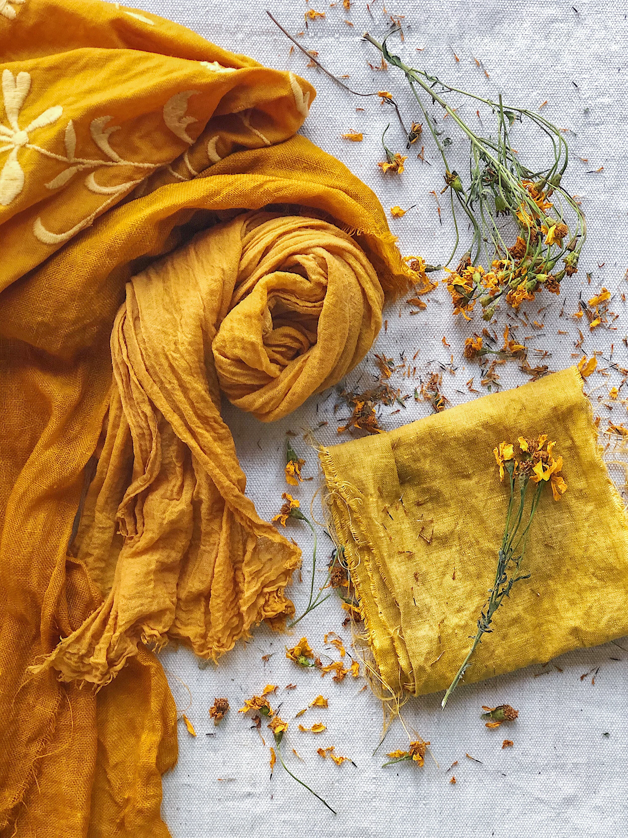 Victoria Larnach Natural Dyer - Journal - Marigold Dyeing.JPEG