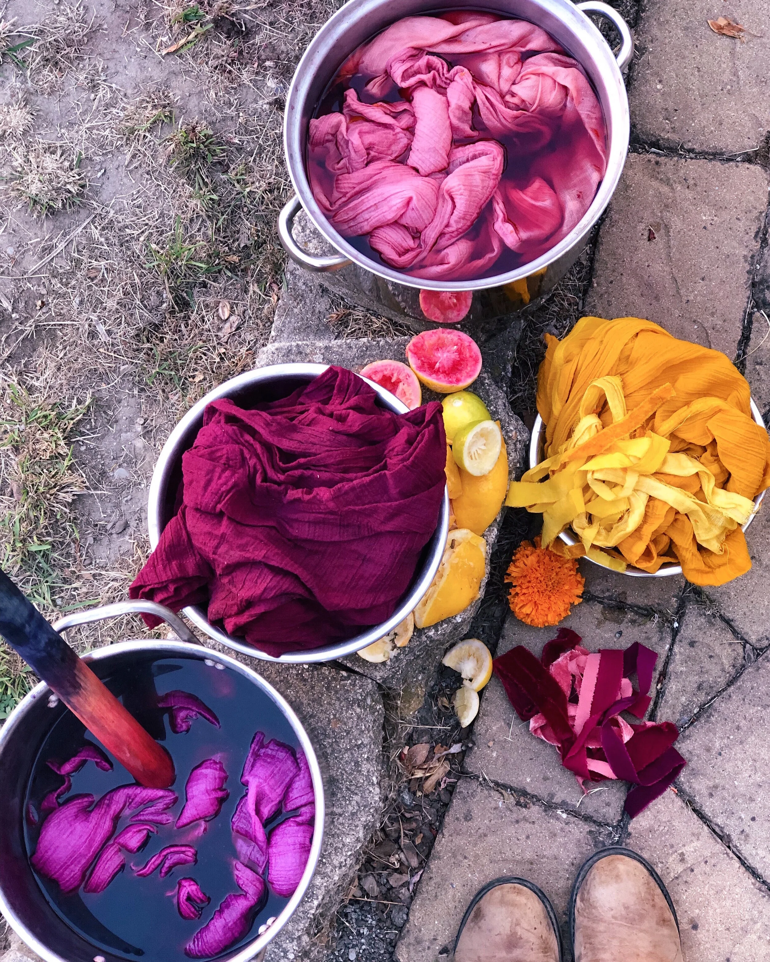 Victoria-Larnach-NaturalDyer-PlantDye_ByronBay-BotanicalDyeing-Marigold-Cochineal.JPG