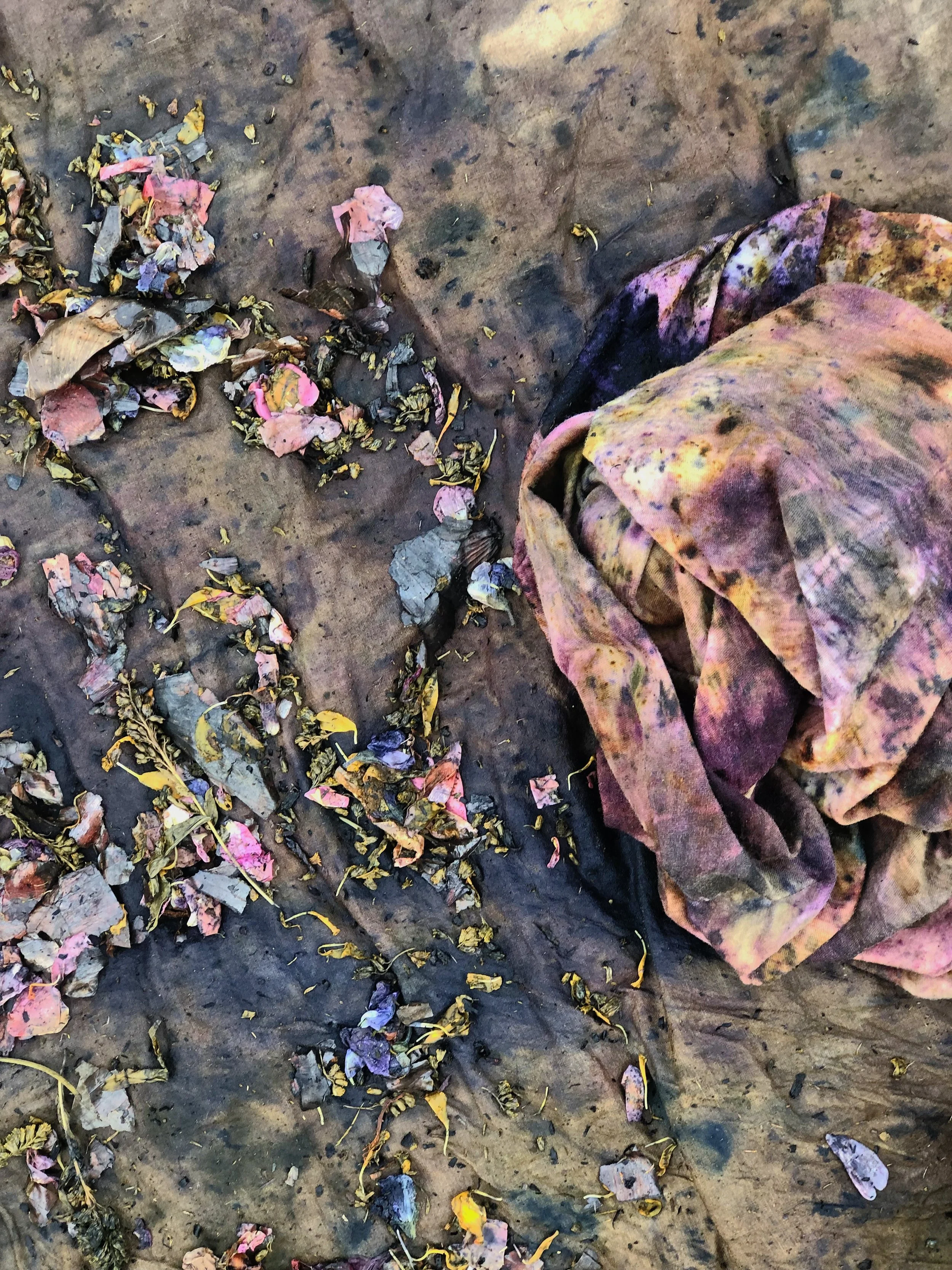 B54DF49A-B02D-4AB6-A538-6C95D34F8C0B.jpg