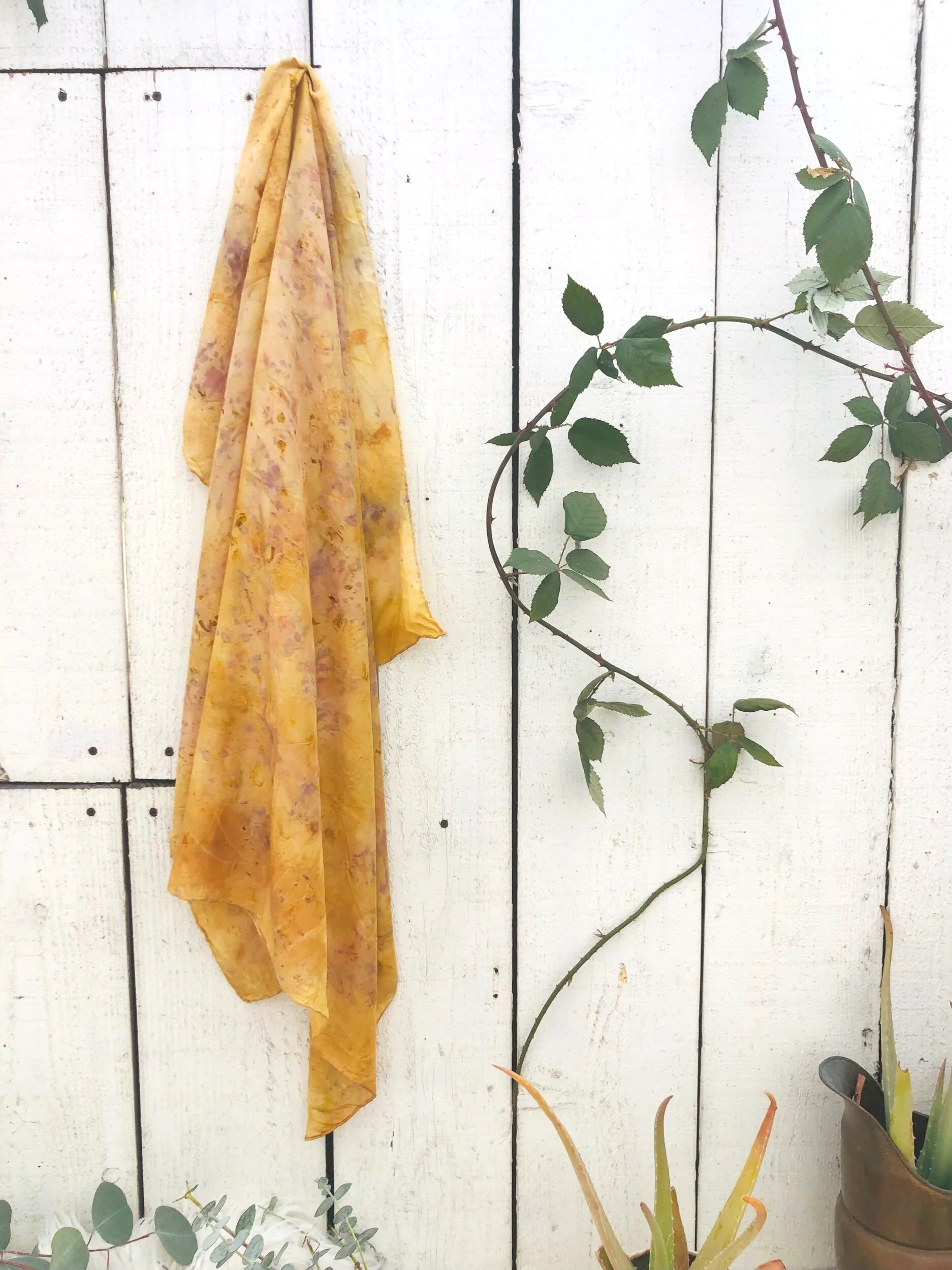 7DA9FE4D-3105-4BB4-AF4A-B20C6C9E4B6B