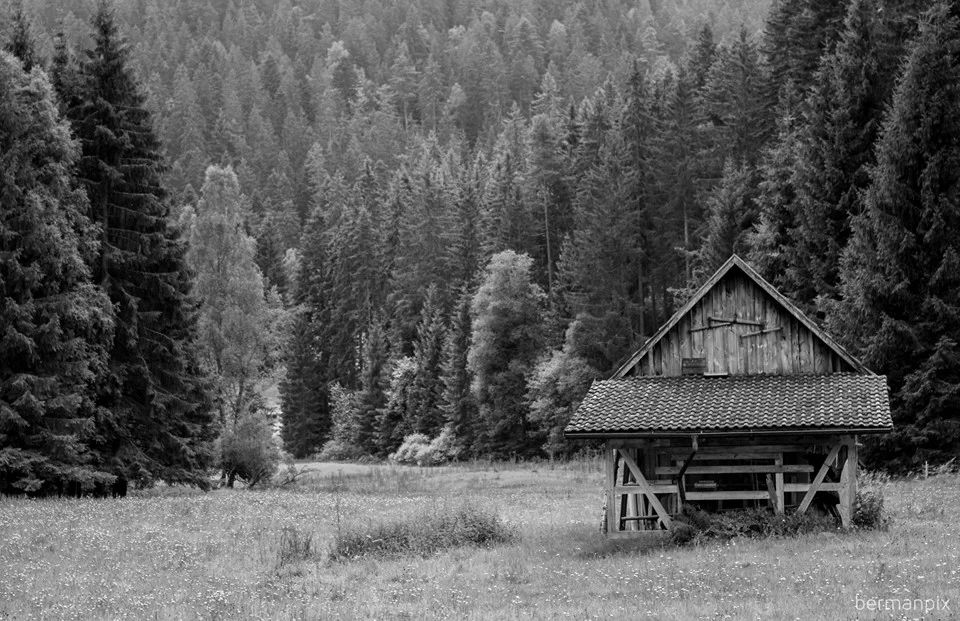 Bermanpix_18.jpg