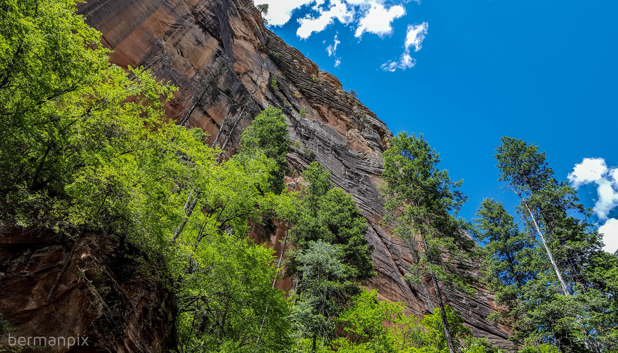 Arizona_WM-7.jpg