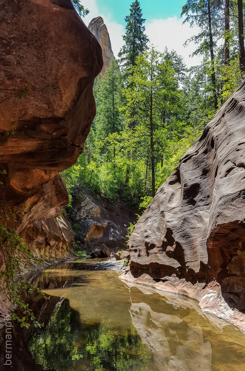Arizona_WM-1.jpg