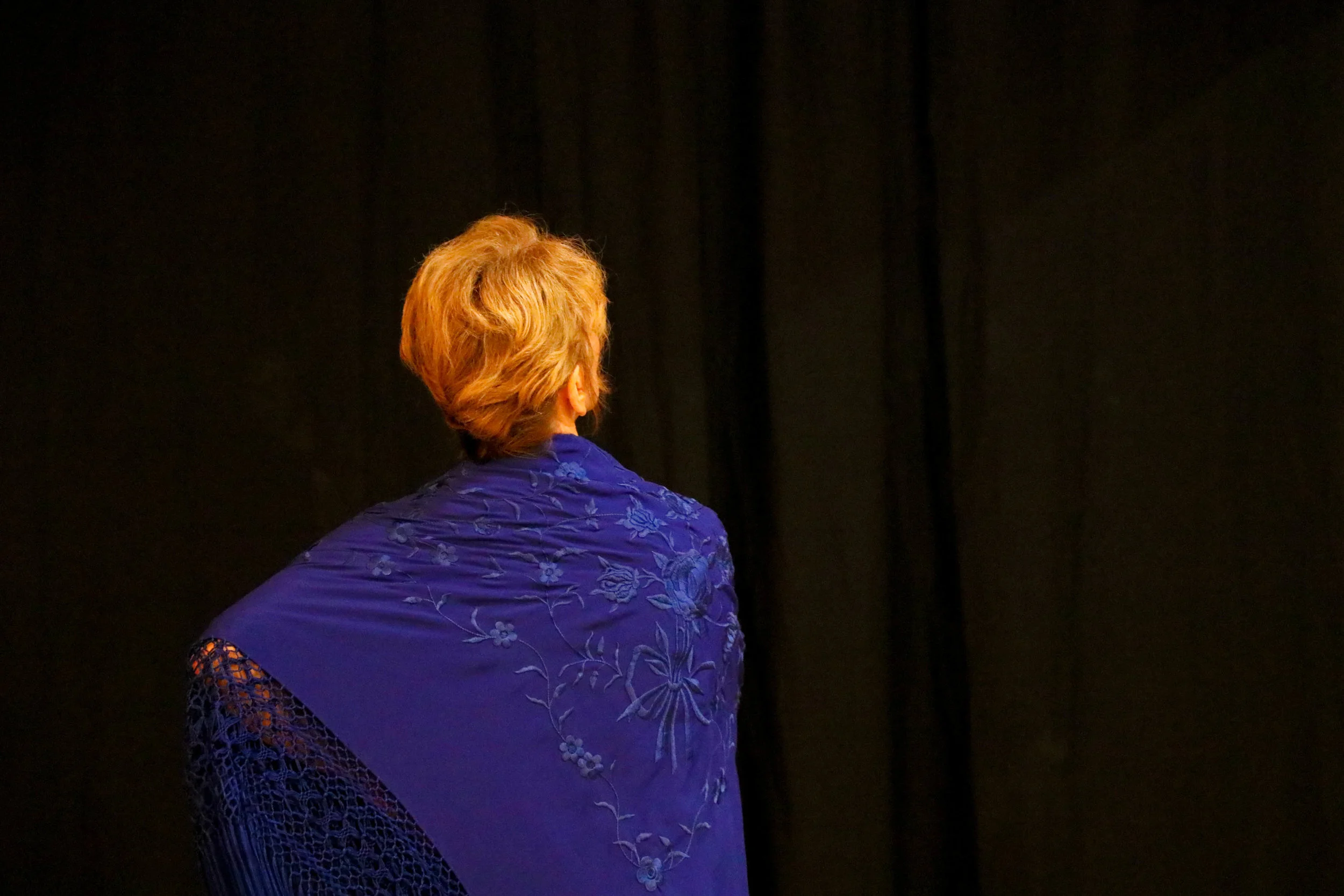 Cheryl_berman_flamenco-11.jpg
